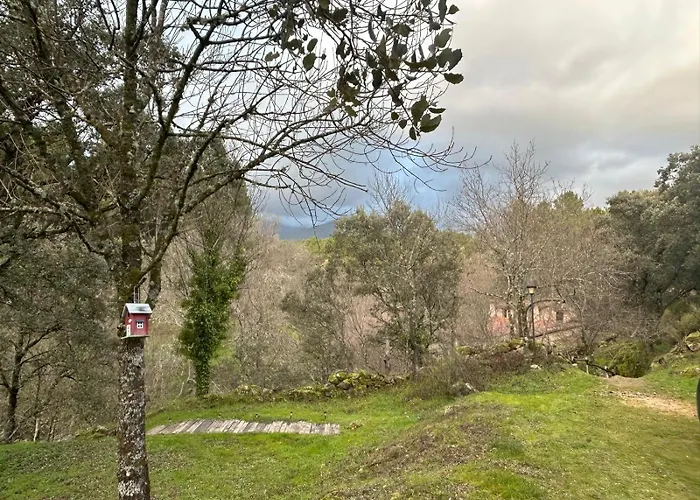 Antiguo Molino Con Piscina Y Chimenea En El Valle Del Tietar * Касавьеха
